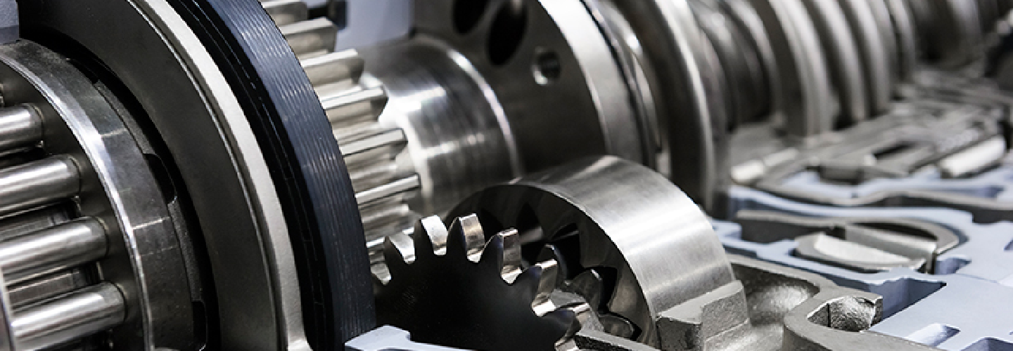 BonfiglioliService India